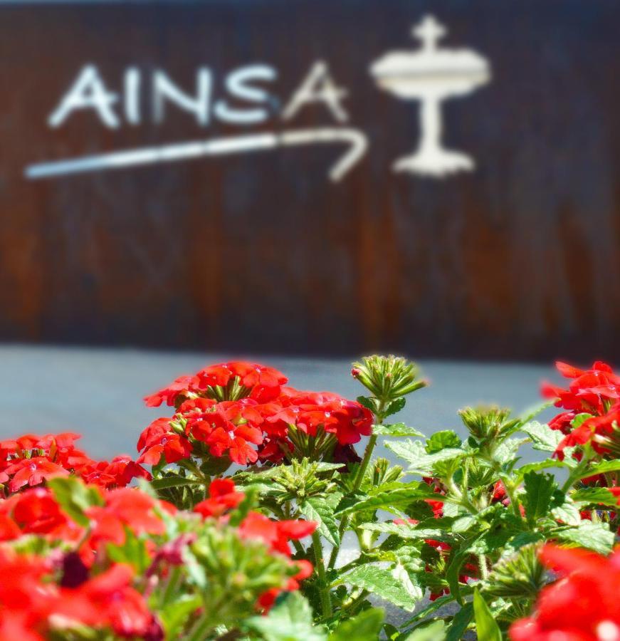 Guest House Ainsa Pirineos Exteriör bild